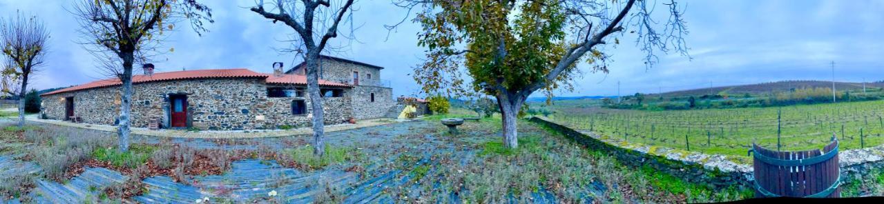 Quinta Do Salgueiro B&B - Turismo Rural Freixo de Espada à Cinta Exterior foto